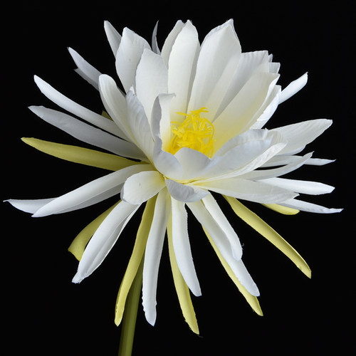 昙花汉服道具配饰仿真古风拍摄