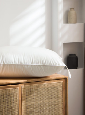 PILLOW JANS | 美国进口纤维成人针对性枕芯汇总