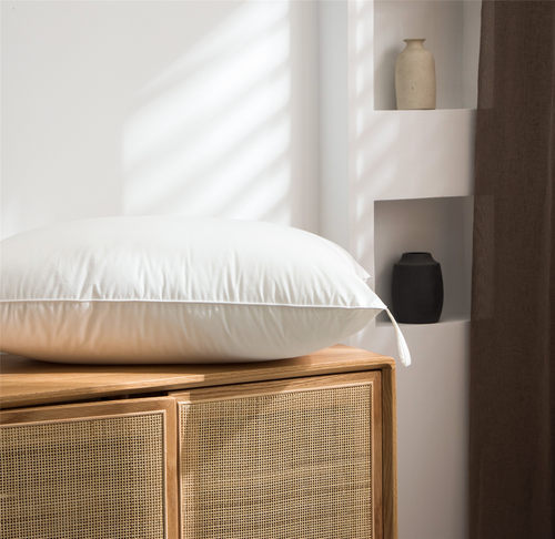 PILLOW JANS | 美国进口纤维成人针对性枕芯汇总