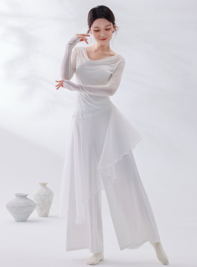 新款古典舞蹈服仙女飘逸套装女中国舞现代舞日常练功服表演服