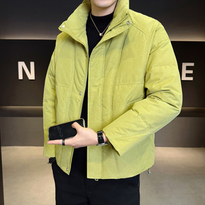 2025年冬男微宽松立领压花标50羽绒服A230-6612-P205（控299）,男装羽绒服,电商A230