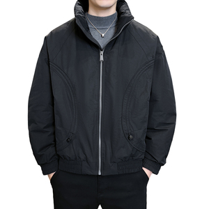 2025年冬男微款式标90立领夹克式羽绒服A230-95708-P230(控330)图片