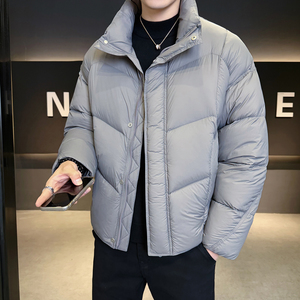 2026冬男微宽松立领标90泡芙穿刺羽绒服A230-2577-P299(控399)图片