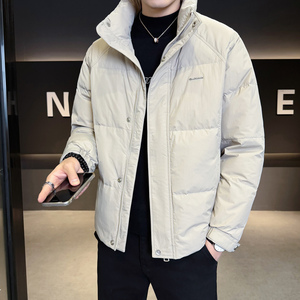 2025冬男修身立领小标标50%白鸭绒羽绒服A230-7900-P195(控299)图片