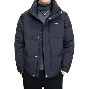 2025冬男修身立领小标标50%白鸭绒羽绒服A230-7900-P195(控299)图片