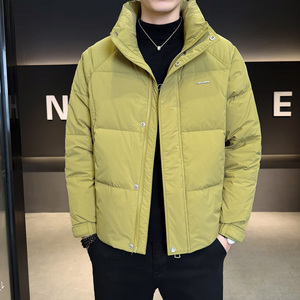 2025冬男修身立领小标标50%白鸭绒羽绒服A230-7900-P195(控299)图片