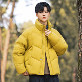 2026冬男微宽松立领标90泡芙穿刺羽绒服A230-2577-P299(控399)，男装羽绒服，电商A230