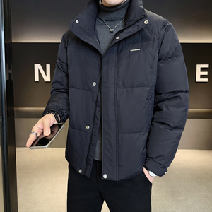 2025冬男修身立领小标标50%白鸭绒羽绒服A230-7900-P195(控299)图片