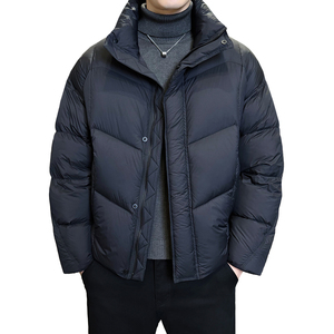 2025冬男微宽松立领标90泡芙穿刺羽绒服A230-2577-P299(控399)图片