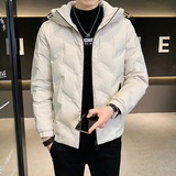 2025冬季男标90连帽压花休闲保暖羽绒服A230-K002-P195(控290)，男装羽绒服，电商A230