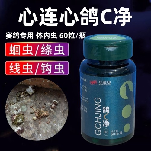 心连心鸽C净赛鸽专用体内虫鸽药