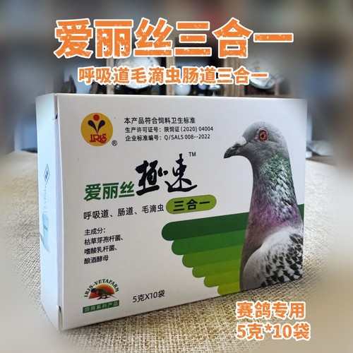 三合一爱丽丝毛滴虫肠道