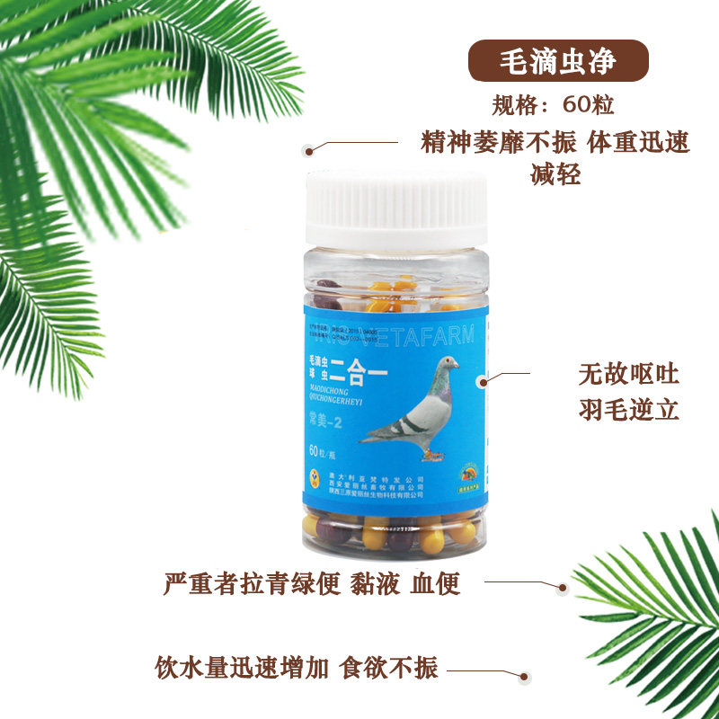 西安爱丽丝鸽药/毛滴虫球虫二合一60粒胶囊/信赛鸽药品/鸽子药