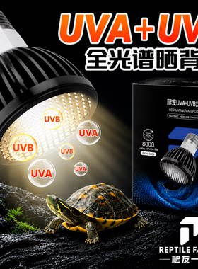 龟缸鱼缸爬宠饲养箱全光谱UVB补钙节能加热保暖照明乌龟晒背灯
