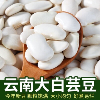 云南白芸豆干货自种白豆农家五谷杂粮粗粮新货农村特产煲汤食材