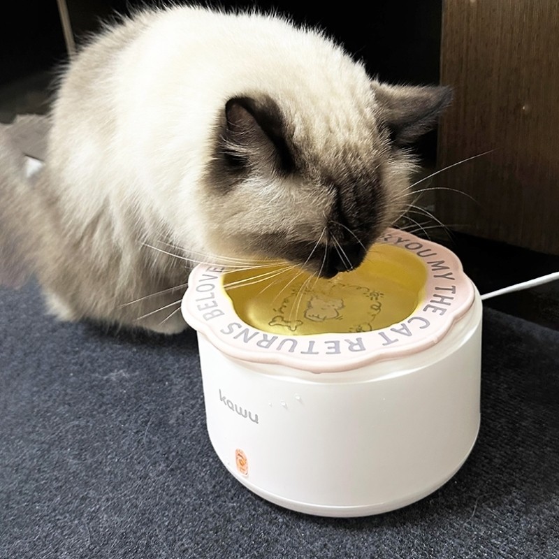 酸奶机猫咪喝水恒温猫咪饮水机自动循环冬季加热罐头陶瓷保温饮水
