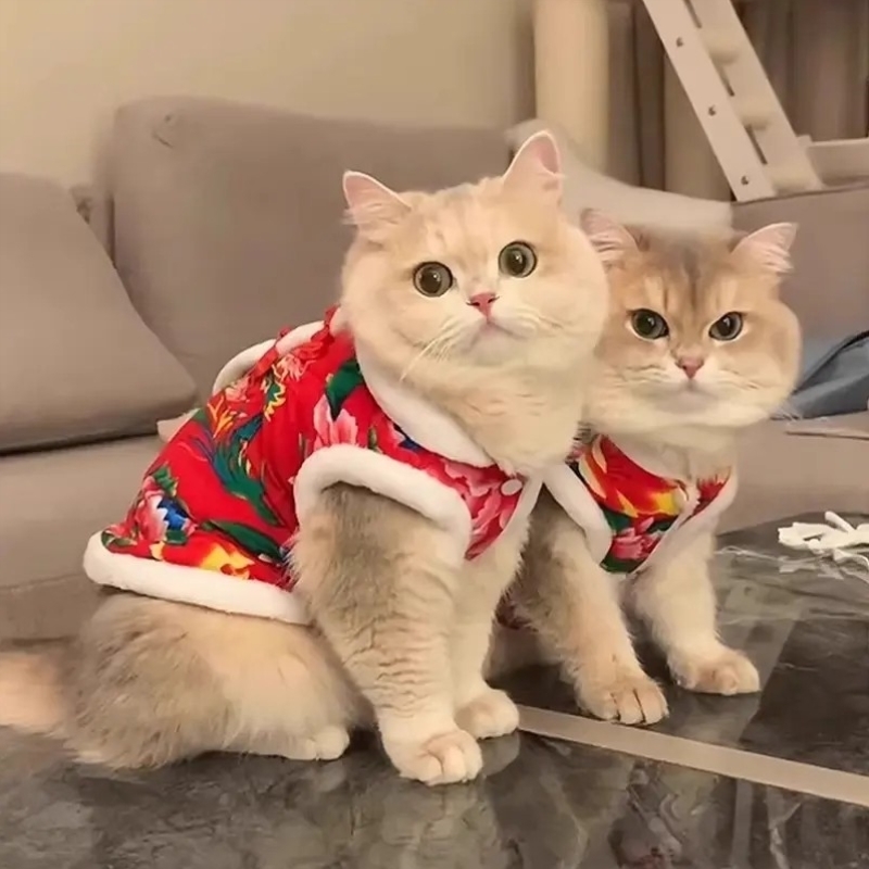 猫咪冬季衣服新年喜庆过年东北大花袄拜年衣宠物小猫加绒保暖棉衣