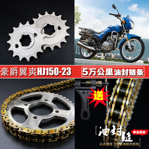 豪爵翼爽DM125油封链条链盘