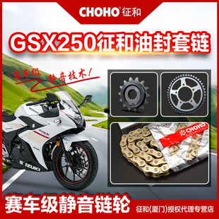 适用豪爵铃木摩托车GSX250静音链盘齿轮链轮征和正品 油封链条配件