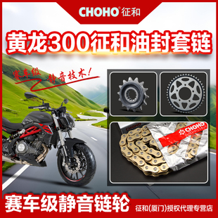 302静音链盘小齿轮征和油封链条 BN300 贝纳利蓝宝龙300 BJ300GS