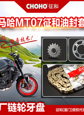 适用雅马哈MT07 MT09 原厂大小牙盘链盘齿轮征和正品油封链条配件