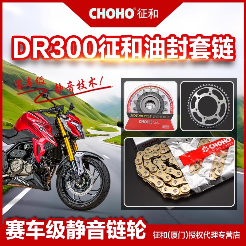 适用豪爵摩托车DR300 XCR300静音链盘小齿轮链轮征和正品油封链条