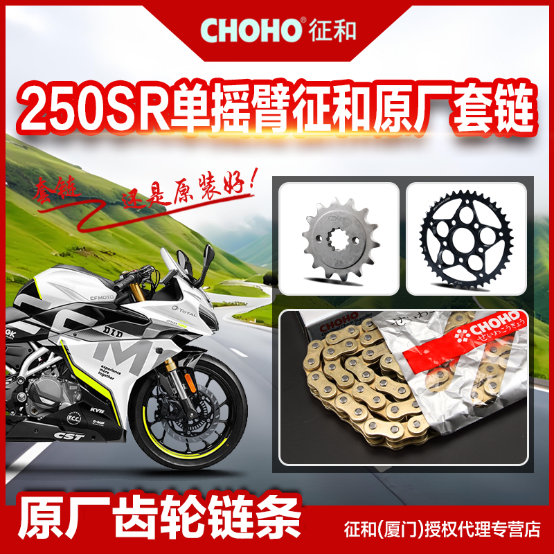 适用春风摩托车250SR MY22 单摇臂 链盘齿轮链轮征和正品油封链条