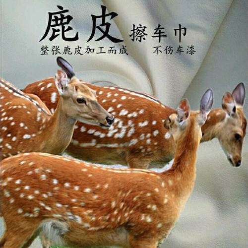 真鹿皮擦车巾天然梅花鹿麂皮吸水不留痕文玩屏幕家具饰品多用擦巾