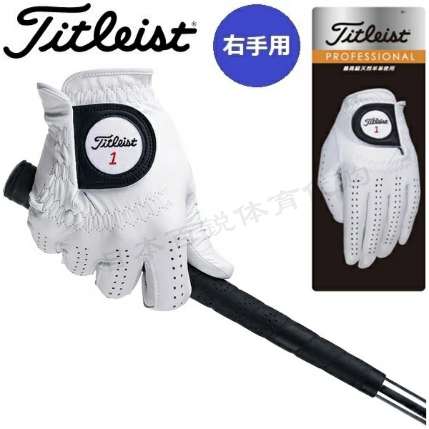 日本Titleist泰特利斯羊皮高尔夫专业手套男士右手戴正品代购