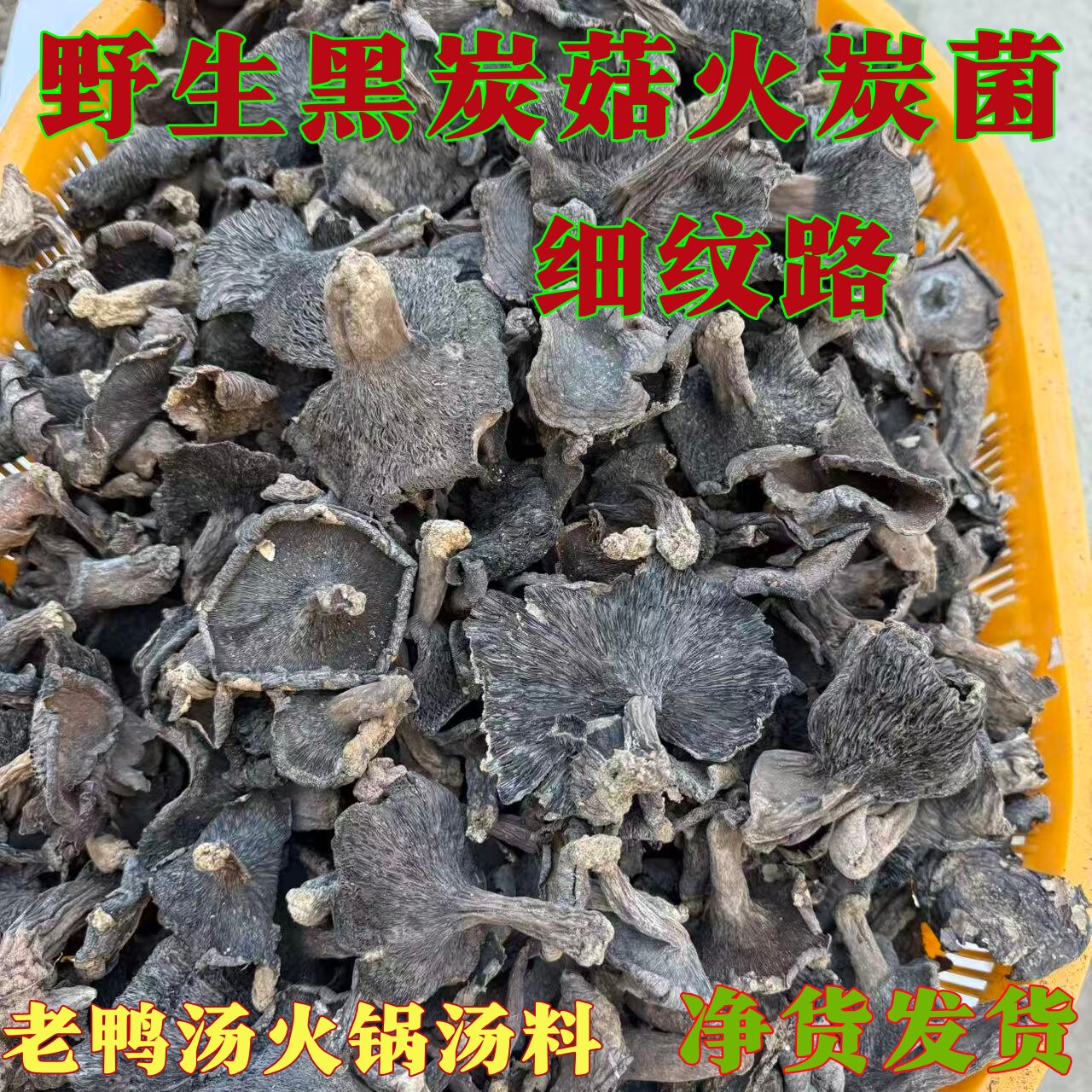 云南特产纯野生黑炭菇火炭菌黑蘑菇干货农家特产新货家用炖老鸭汤