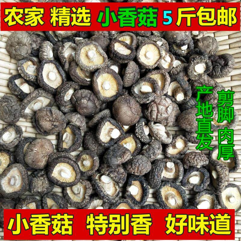 小香菇金钱菇2500g土特产土特产