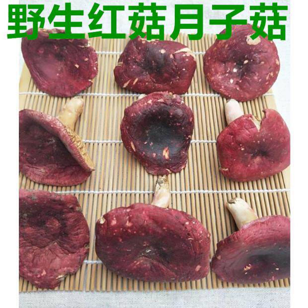 月子野生营养红蘑菇500g包邮