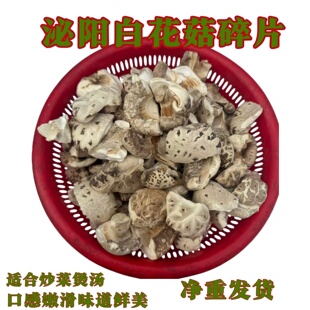 泌阳白花菇碎片一元硬币新货大花菇破片干货煲汤冬菇肉厚净货批发