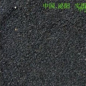 黑芝麻五谷杂粮新鲜河南土特产