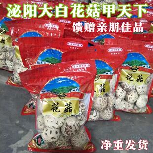 泌阳大白花菇干货剪脚农家土特产批发白花菇蘑菇冬菇500克包邮