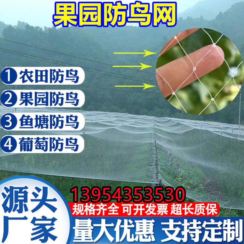果园防鸟用的网果树葡萄园鱼池塘阳台机场稻谷鱼线农用防鸟网天网