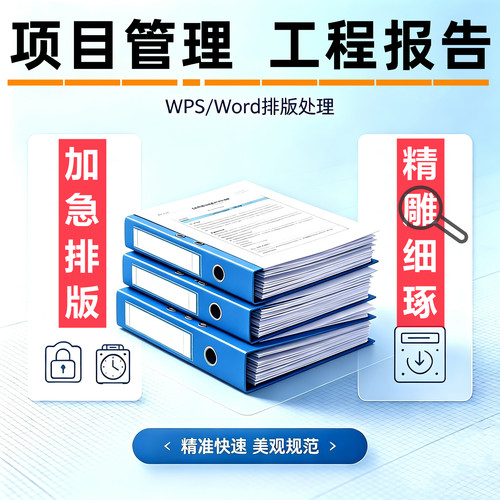 WPS/Word文档排版图表美化修改项目管理工程报告图文资料整理设计