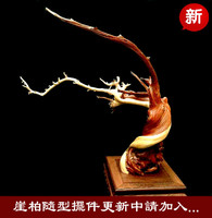 太行崖柏摆件根雕天然随形树根客厅原木实木木雕工艺品红木花架