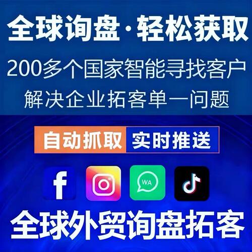ws/fb/tk/ins/外贸拓客引流平台社媒营销矩阵海外客户开发系统