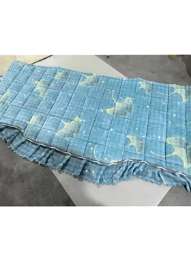 货车秋冬季加厚卧铺棉垫德龙M3000SX3000X5000X6000泡泡床套被子