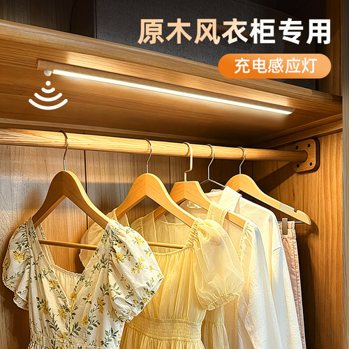 原木风衣柜感应灯带充电磁吸灯条