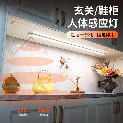 玄关鞋柜进门感应灯带插电式