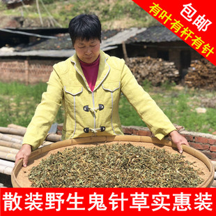 新货鬼针草干鬼针草野生三叶鬼针草茶四方枝