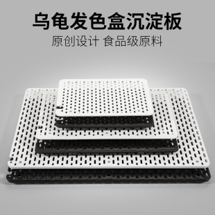 乌龟发色盒活体剃刀西非果核红面窄桥龟饲养盒龟苗发色隔离板