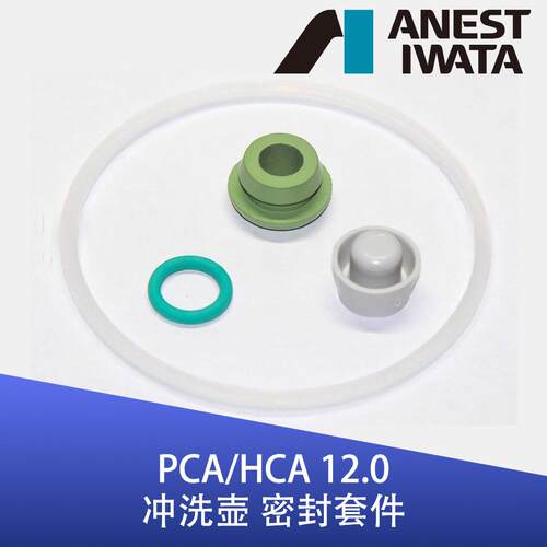 日本岩田IWATA 冲洗壶密封圈胶圈 W2KIT71 PCA/HCP 12.0 套件