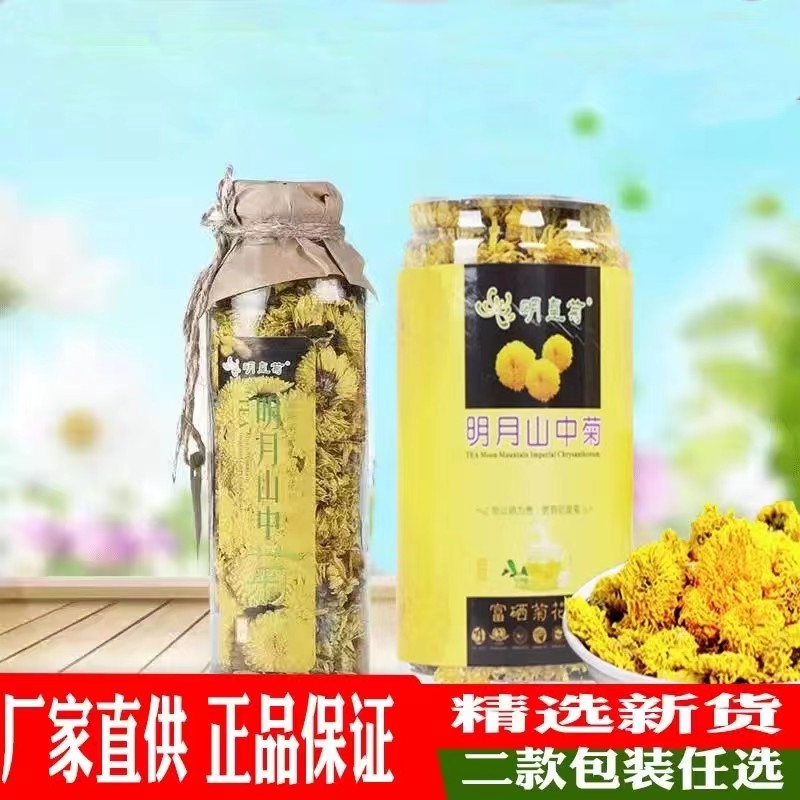 富硒明皇菊明月山中菊一朵一杯野生菊花茶菊江西宜春明月山特产