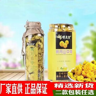 富硒明皇菊明月山中菊一朵一杯野生菊花茶菊江西宜春明月山特产