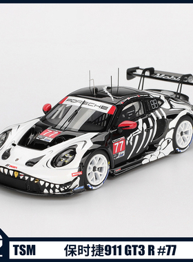 TSM1:43保时捷911GT3 R #77 Ao Racing万圣节骨龙树脂汽车模型