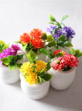迷你碎花植物盆栽彩色微缩花卉