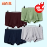 Нижнее белье, штаны, шорты, оверсайз